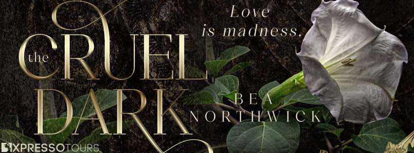 The Cruel Dark Cover Reveal