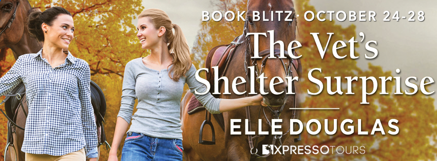 The Vet’s Shelter Surprise Blitz