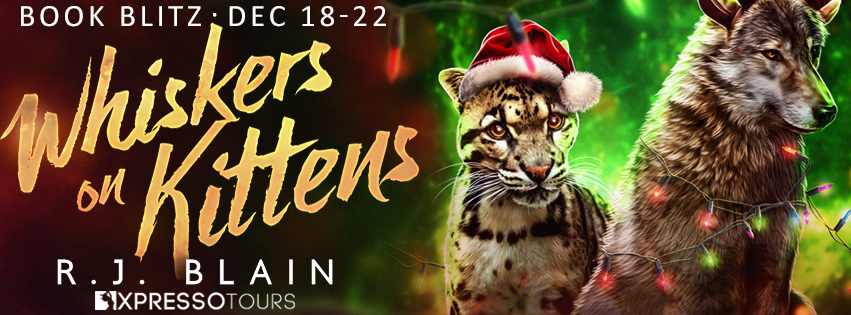 Whiskers on Kittens Blitz