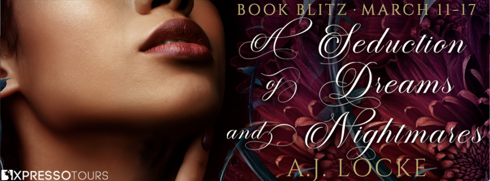 A Seduction of Dreams and Nightmares Blitz